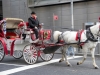Horse and carriage, Central Park