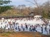 Wollman Rink, Central Park