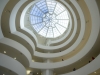 The Guggenheim Museum Rotunda